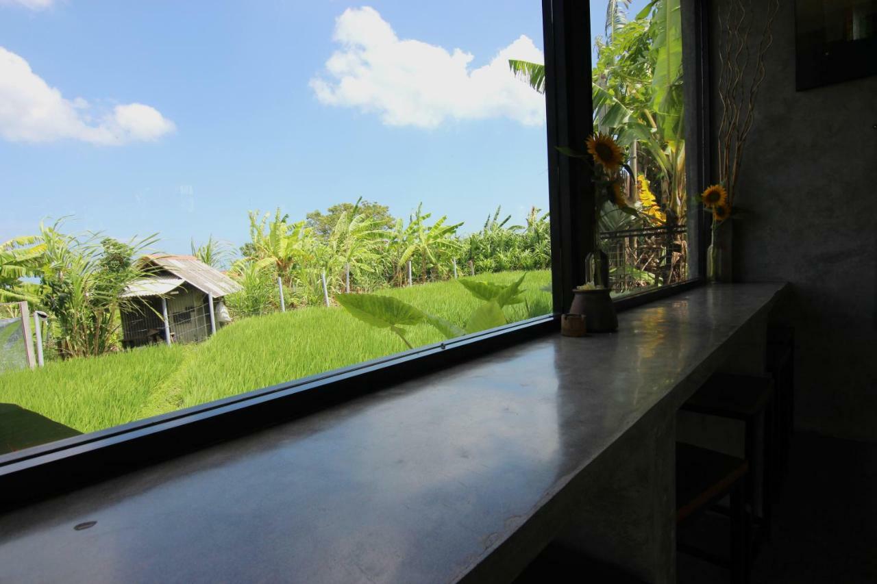De Vir House Daire Canggu Dış mekan fotoğraf