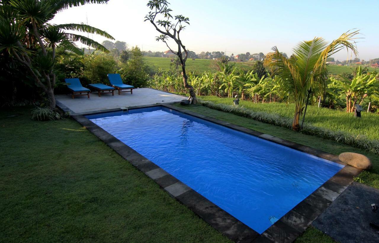 De Vir House Daire Canggu Dış mekan fotoğraf