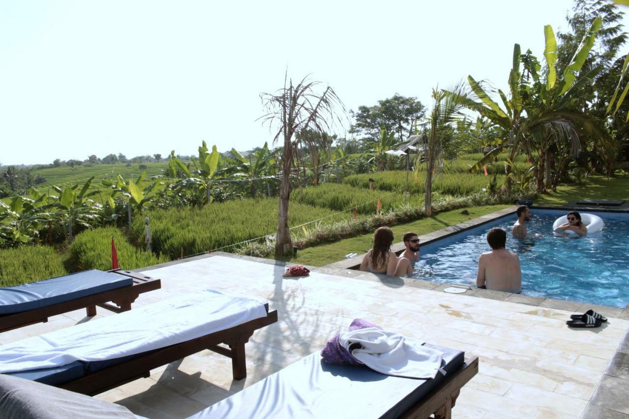 De Vir House Daire Canggu Dış mekan fotoğraf